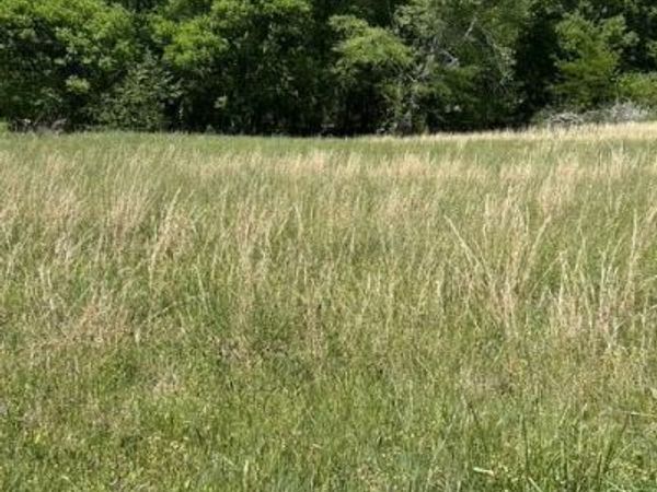 789 Smith Bend Lane, Gainesboro, TN 38562