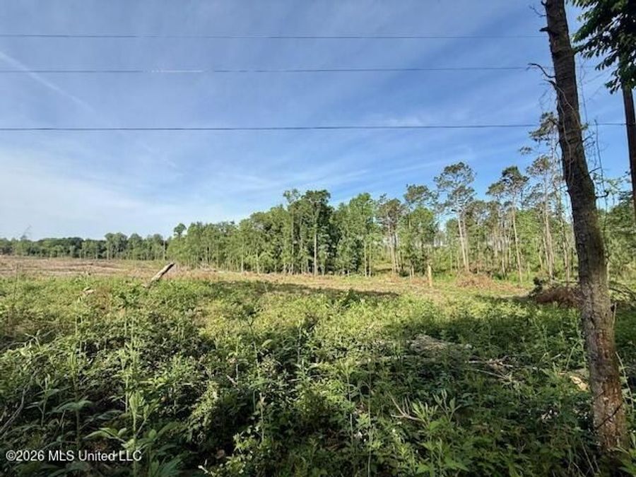 Property Image 66