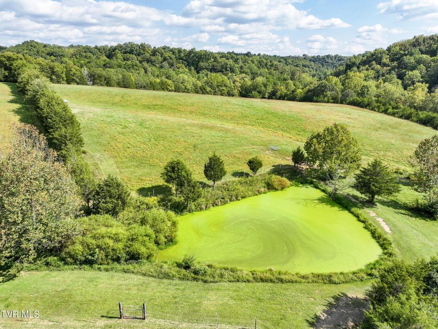 Property Image 63
