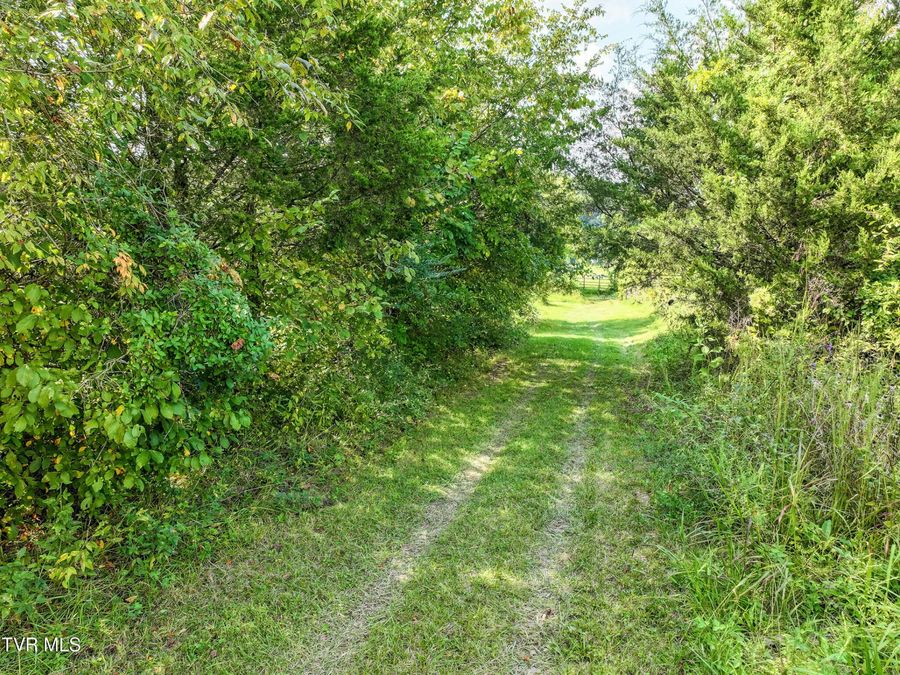 Property Image 69