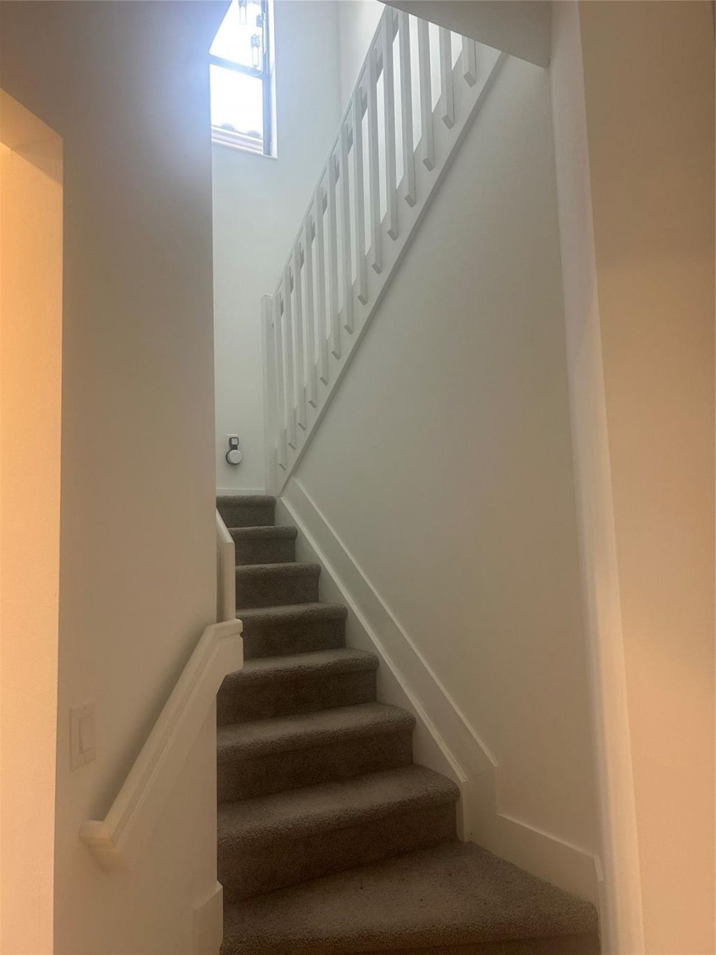 5637 W Cerva Lane, Ave Maria, FL 34142 Photo