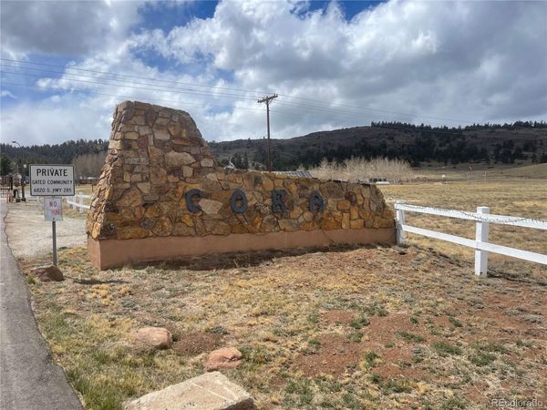 171 Rail Way , Fairplay, CO 80440