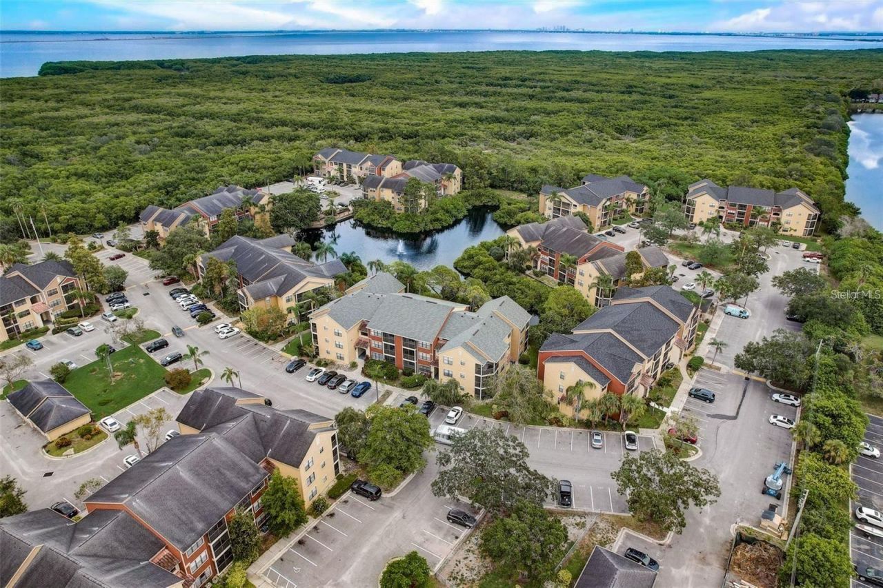 11901 4th Street N, Unit 11105, Saint Petersburg, FL 33716 Photo