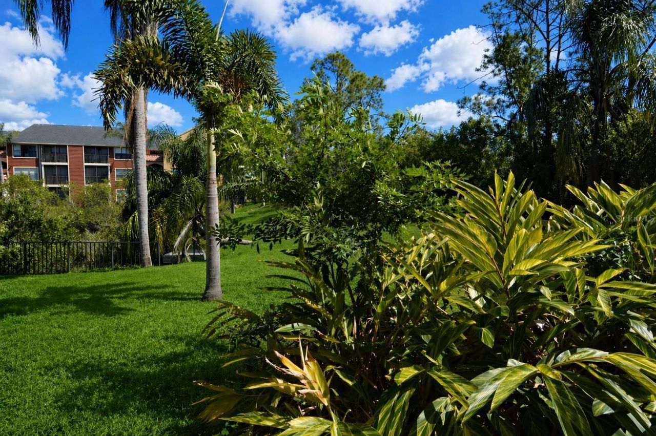 11901 4th Street N, Unit 11105, Saint Petersburg, FL 33716 Photo