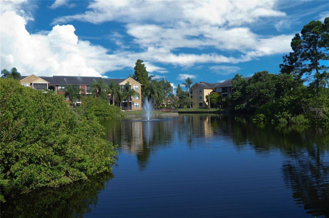 11901 4th Street N, Unit 11105, Saint Petersburg, FL 33716 Photo