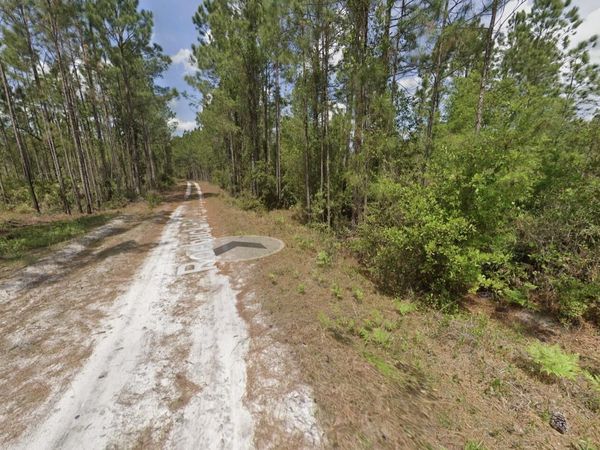 130 ROEBUCK Street, Georgetown, FL 32139