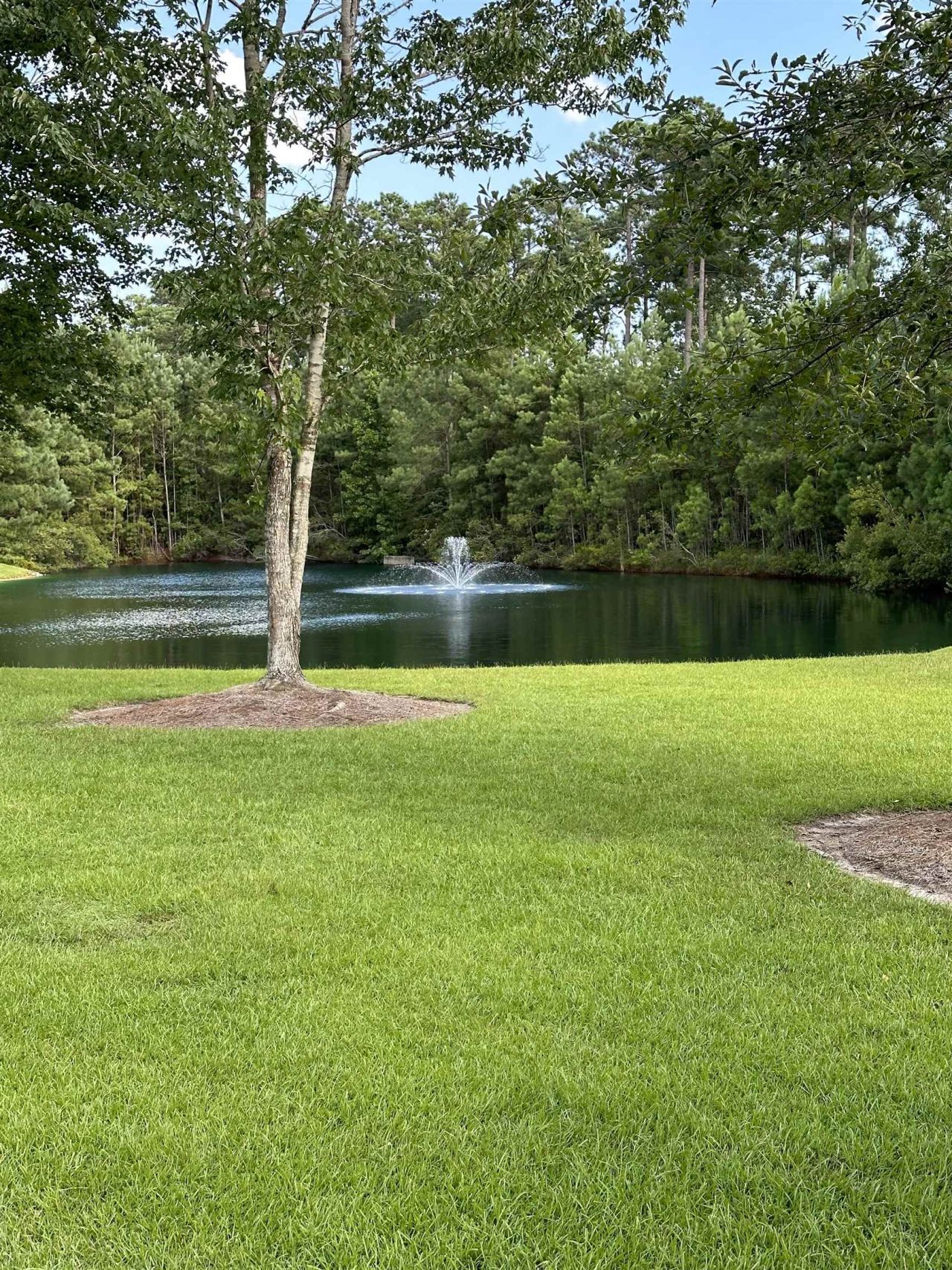 126 Low Country Loop  Photo 39