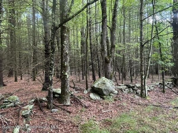 0 Cangiano Drive, Prattsville, NY 12468