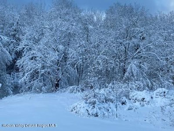 0 Cangiano Drive, Prattsville, NY 12468