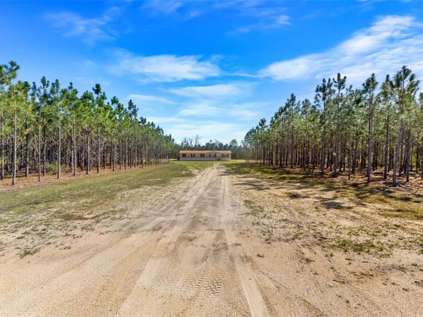 20774 78TH TRACE , LIVE OAK, FL 32060