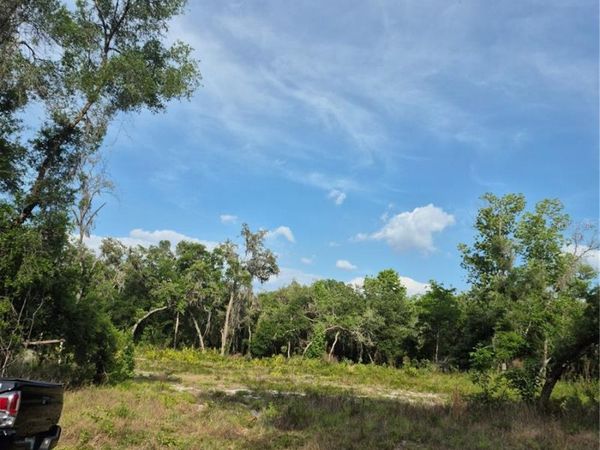 7490 SHASTA STREET , WEBSTER, FL 33597