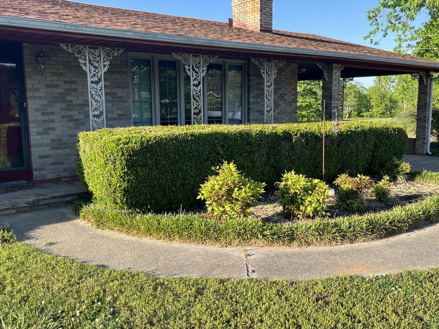 Property Image 49