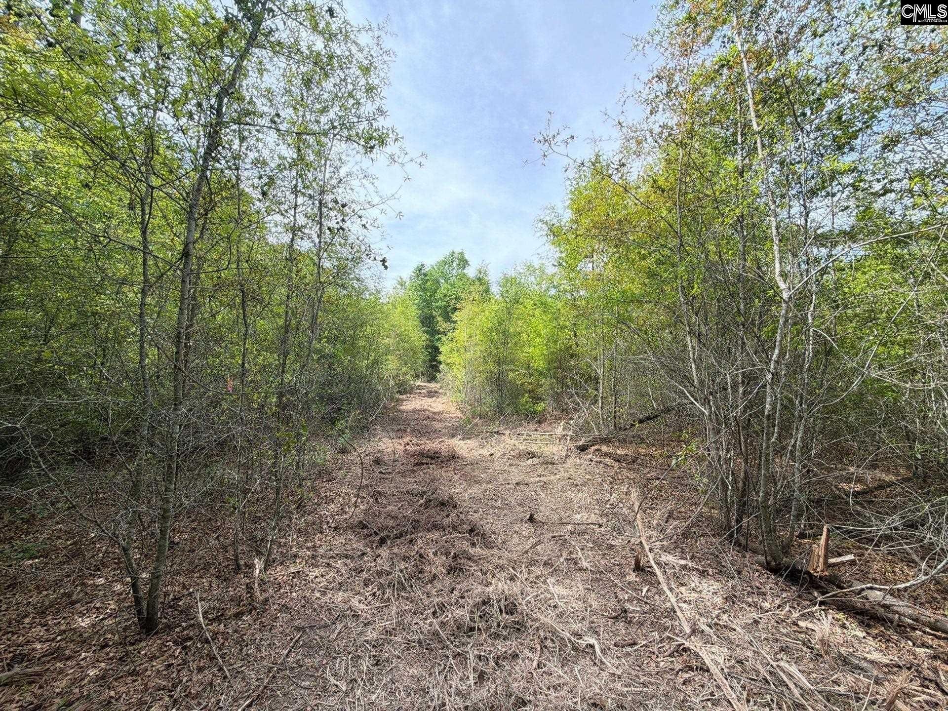 Rrf 3 Rogers Cemetery Road  Photo 8