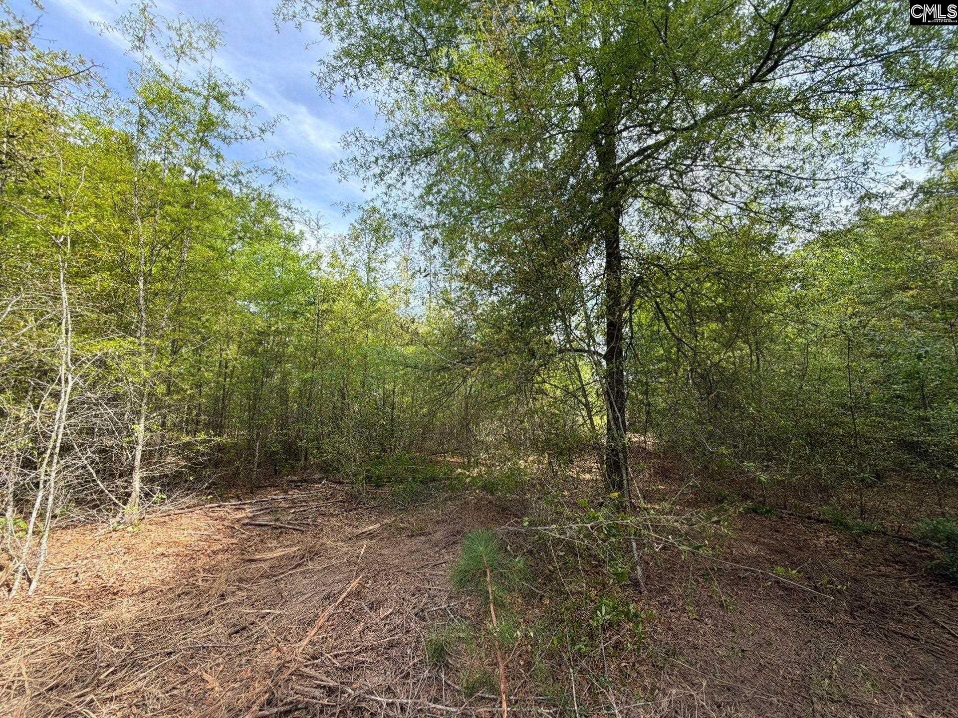 Rrf 3 Rogers Cemetery Road  Photo 9