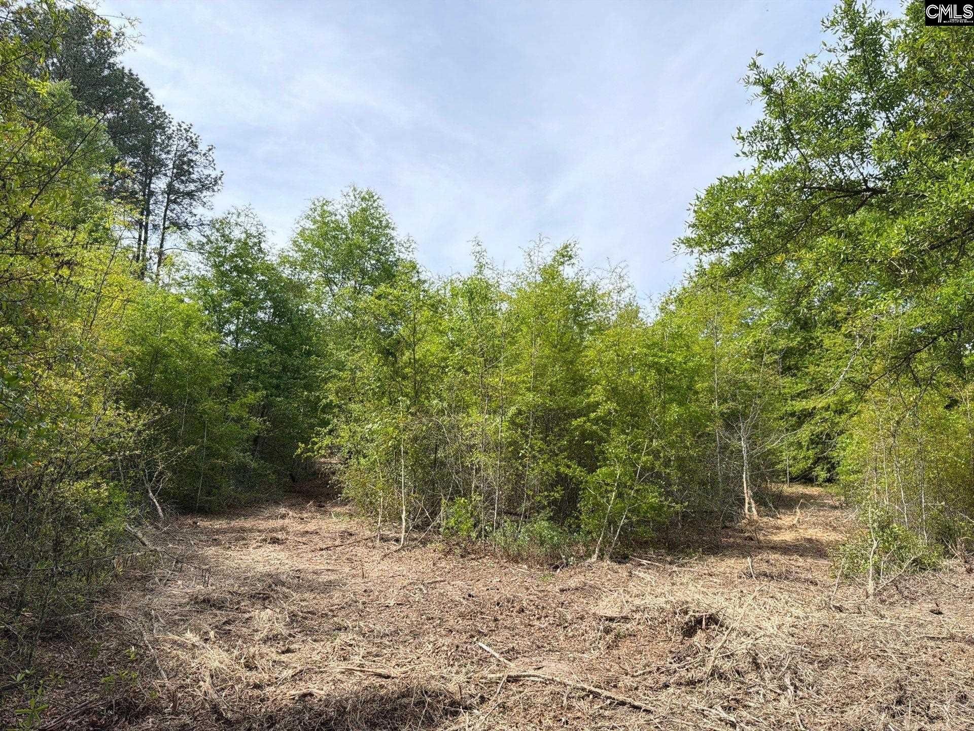 Rrf 3 Rogers Cemetery Road  Photo 11