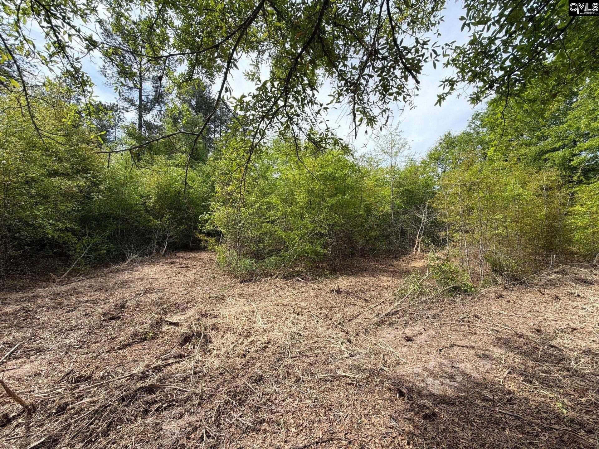 Rrf 3 Rogers Cemetery Road  Photo 12