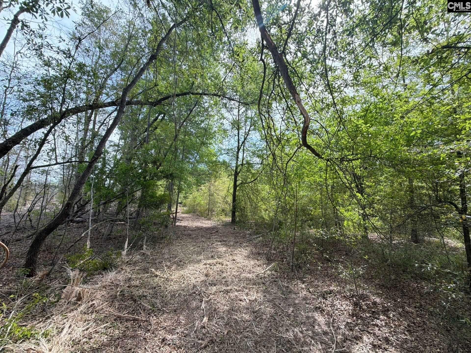 Rrf 3 Rogers Cemetery Road  Photo 14