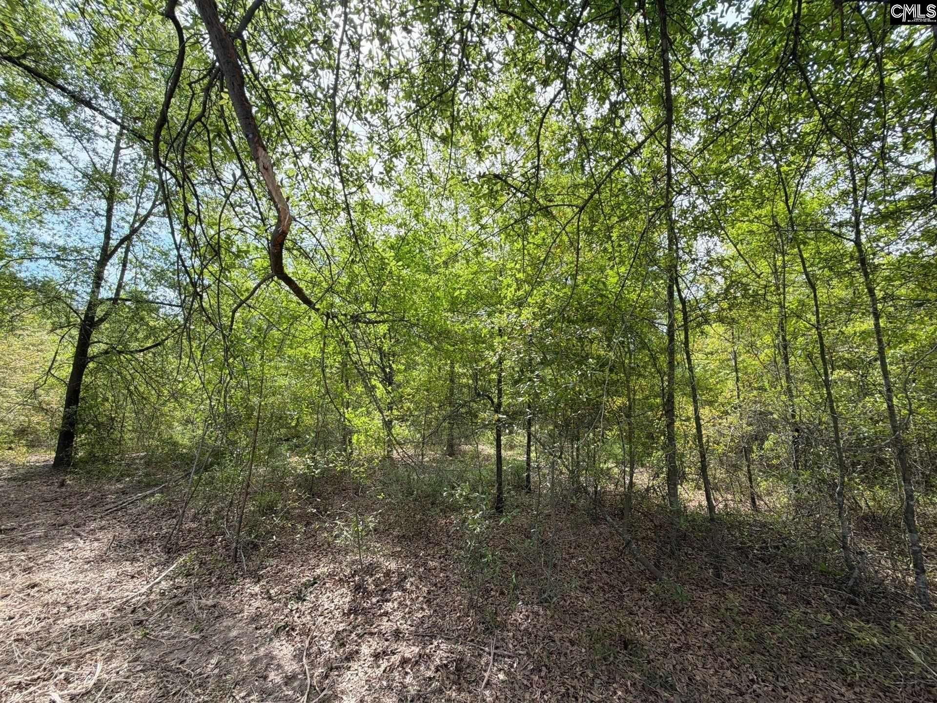 Rrf 3 Rogers Cemetery Road  Photo 15