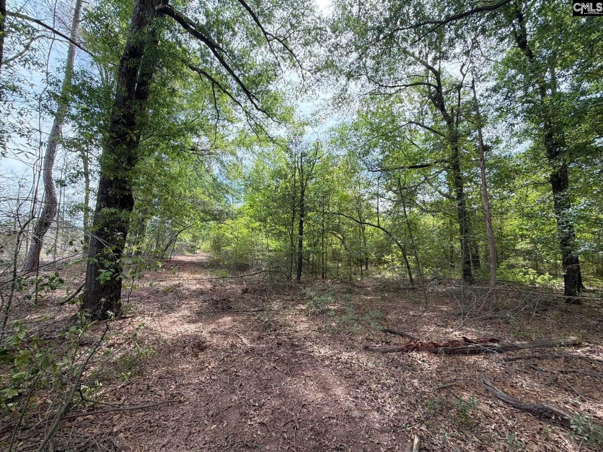 Rrf 3 Rogers Cemetery Road  Photo 16