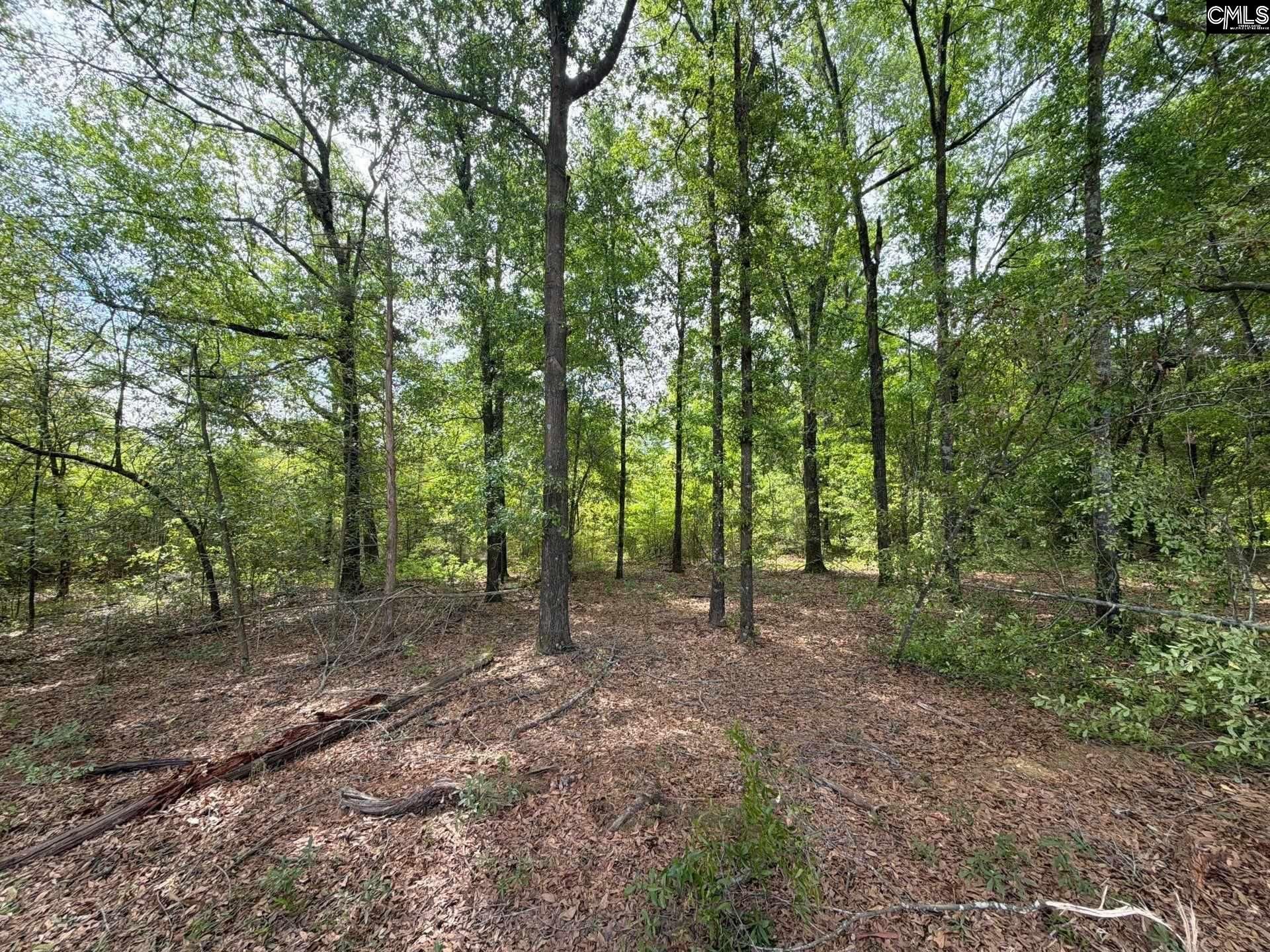 Rrf 3 Rogers Cemetery Road  Photo 17