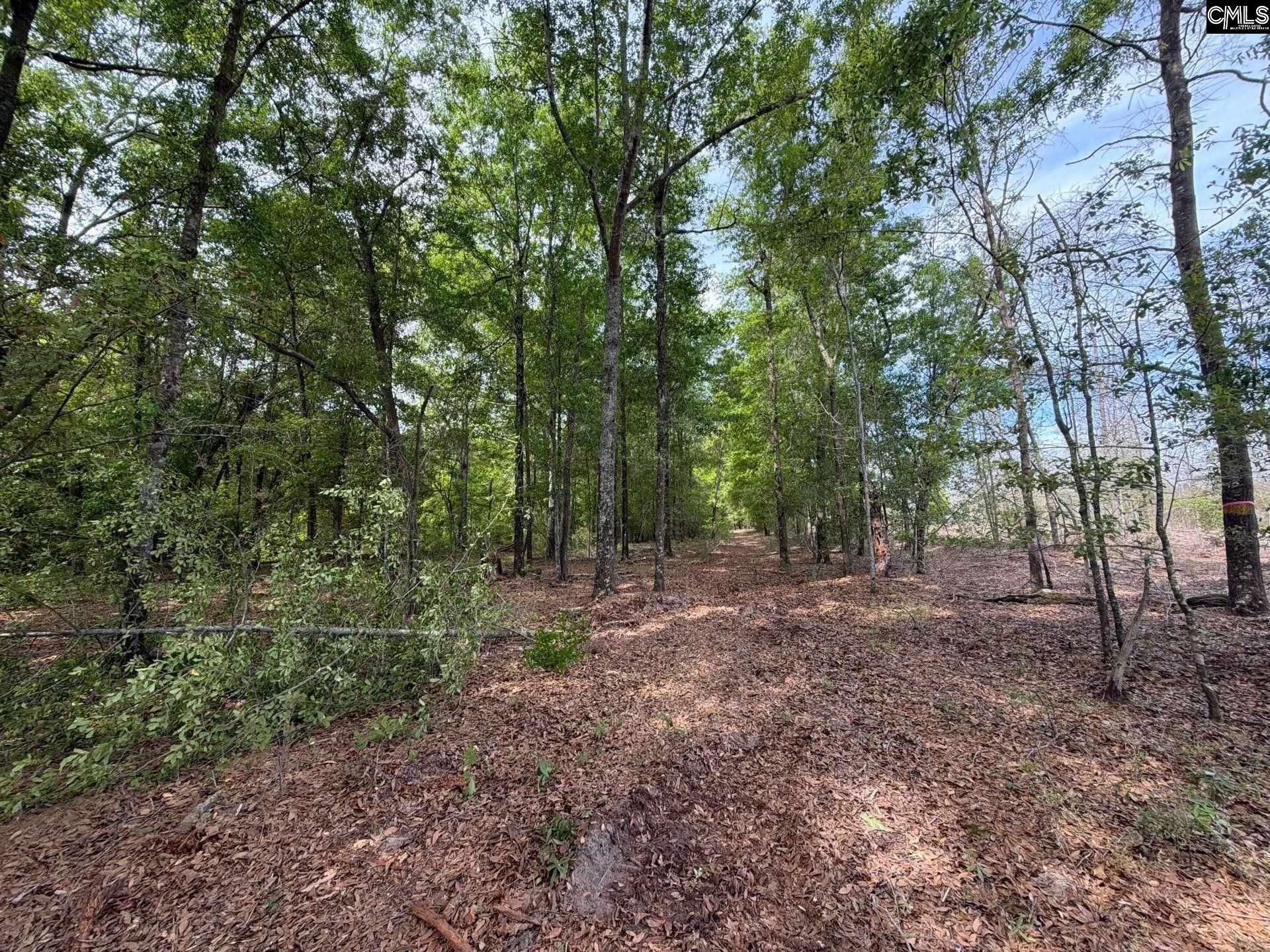 Rrf 3 Rogers Cemetery Road  Photo 18