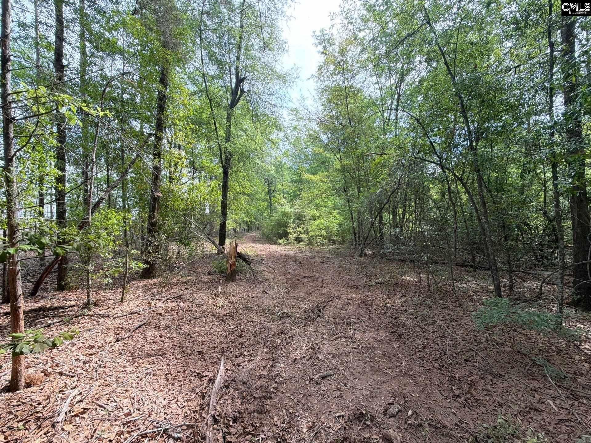 Rrf 3 Rogers Cemetery Road  Photo 19