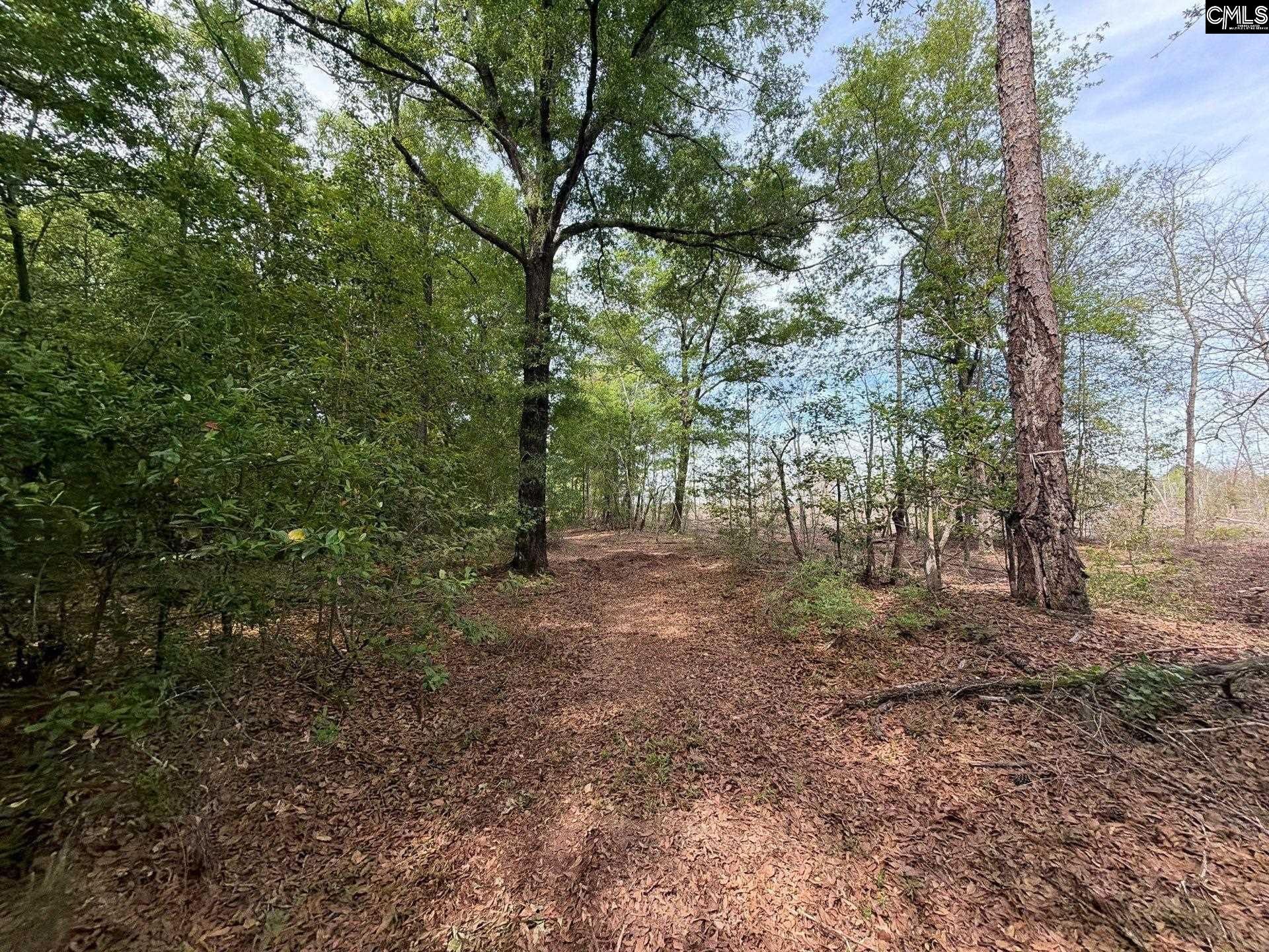 Rrf 3 Rogers Cemetery Road  Photo 20