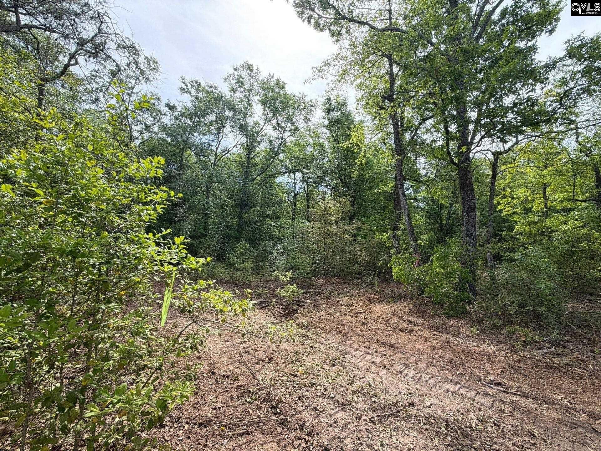 Rrf 3 Rogers Cemetery Road  Photo 21