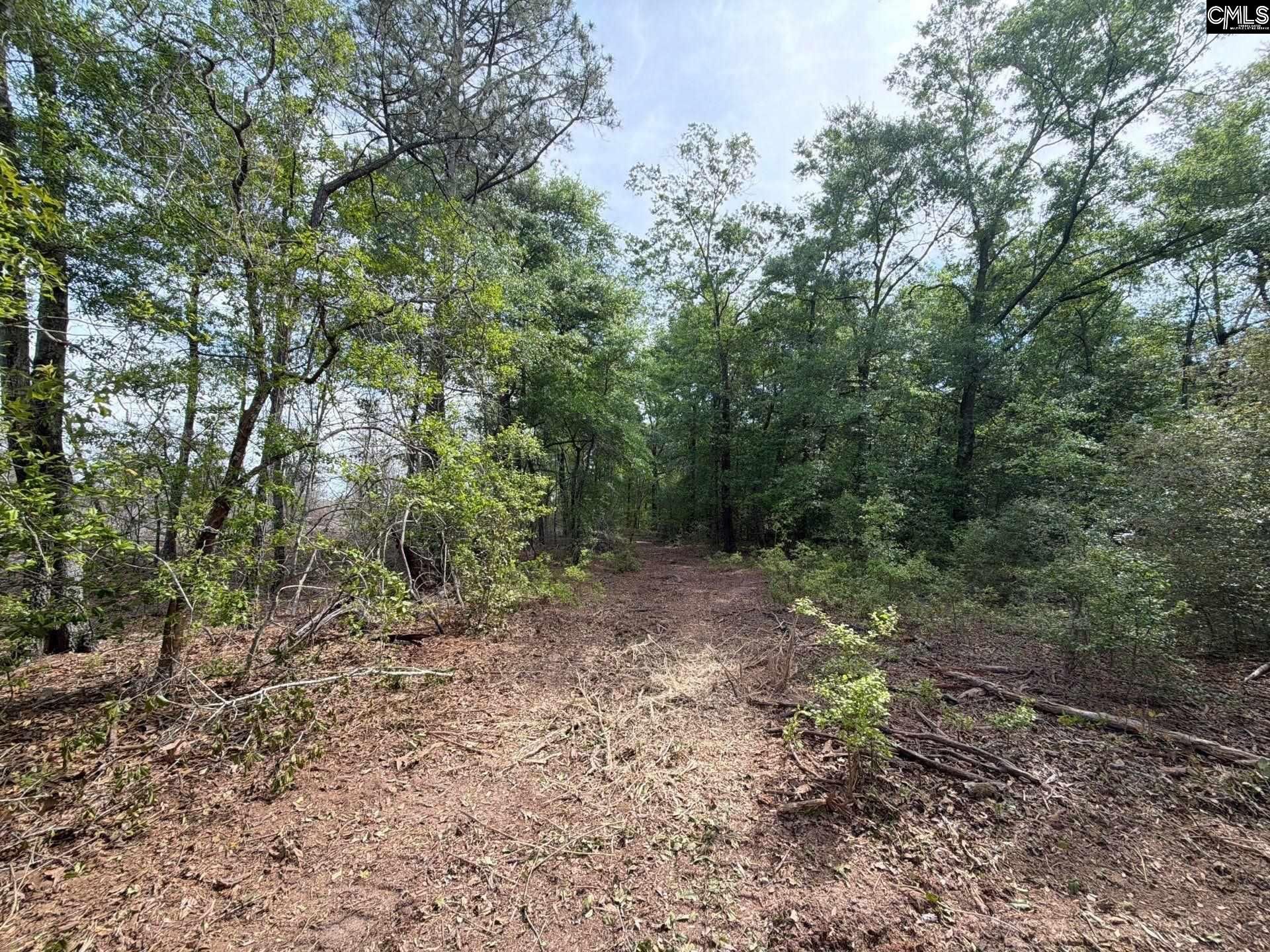 Rrf 3 Rogers Cemetery Road  Photo 22