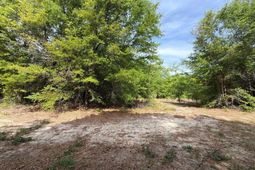 Rrf 3 Rogers Cemetery Road  photo 4