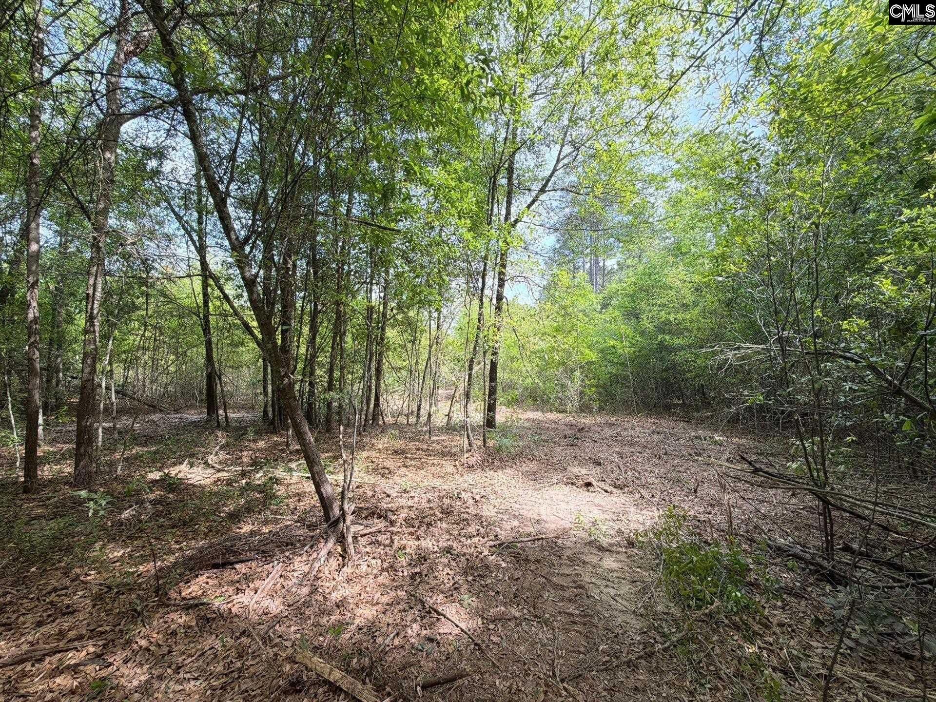 Rrf 3 Rogers Cemetery Road  Photo 7