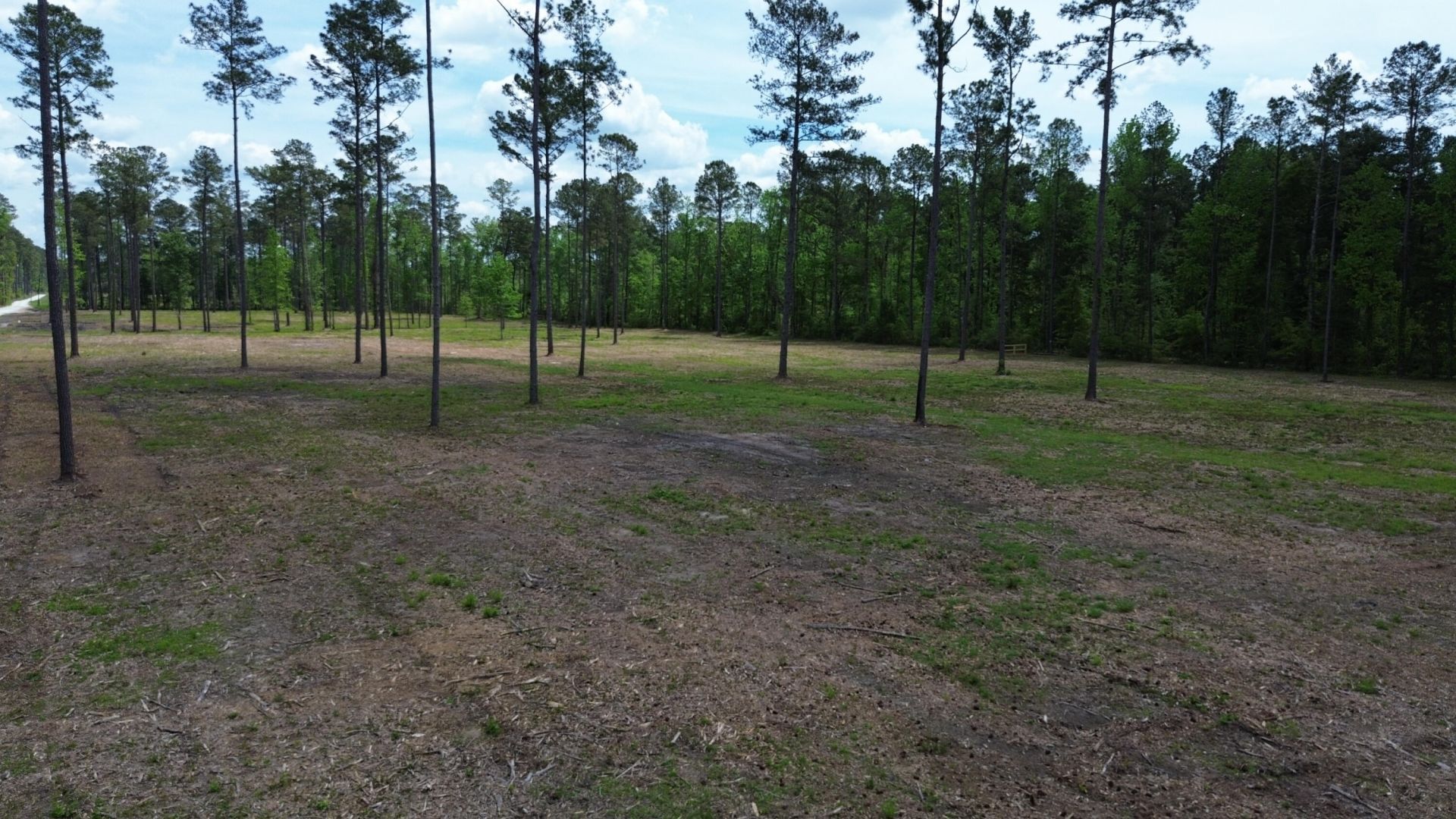 6 Highway 27 Photo 11