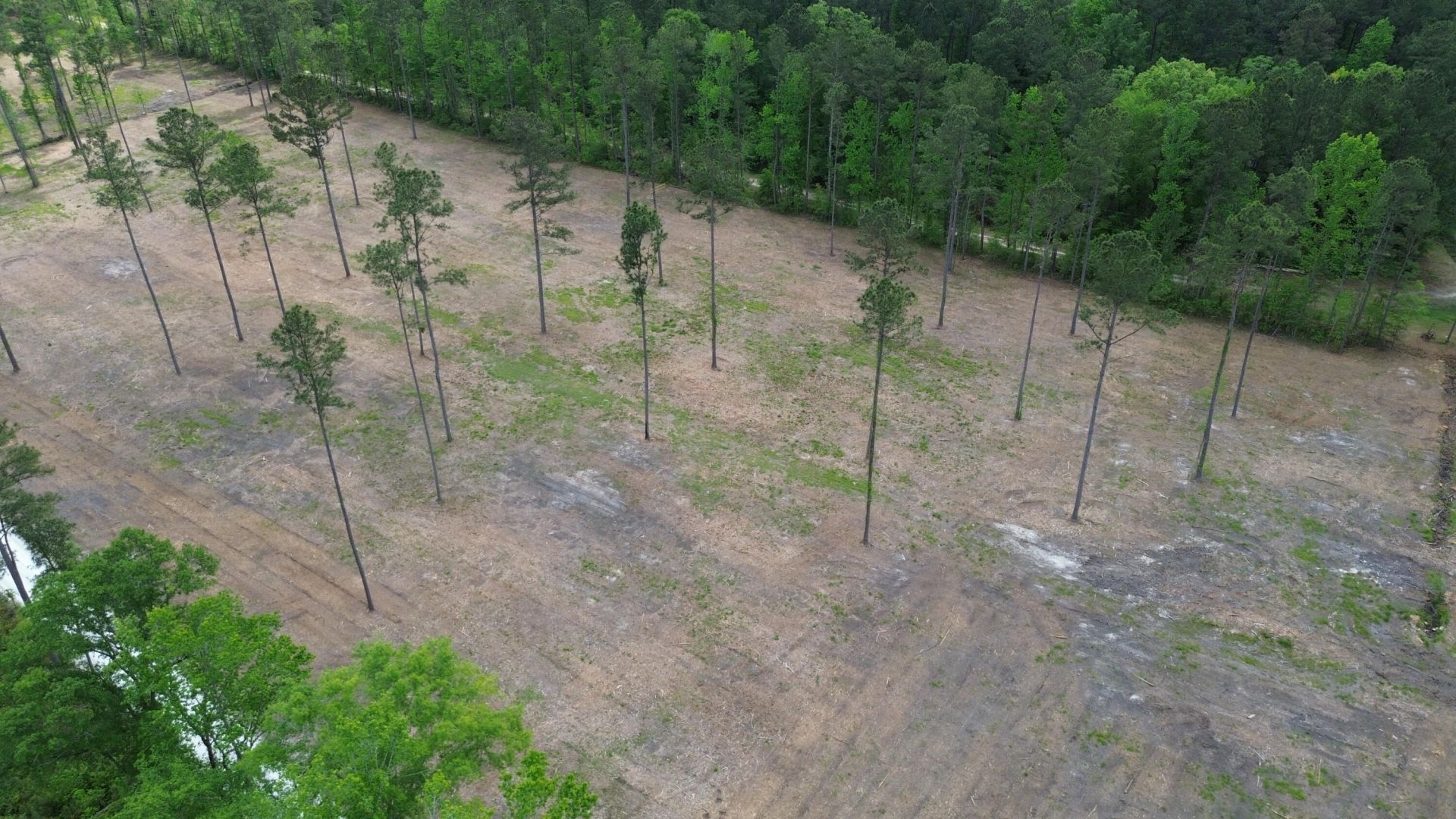 6 Highway 27 Photo 14