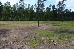 6 Highway 27 photo 4