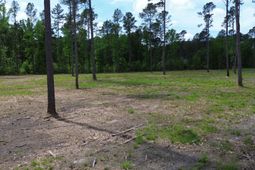 6 Highway 27 photo 4