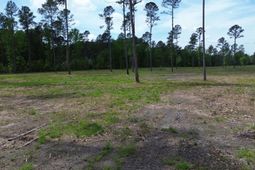 6 Highway 27 photo 4