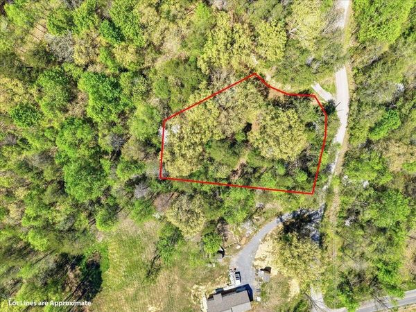 0 Dark Hollow, Cosby, TN 37722