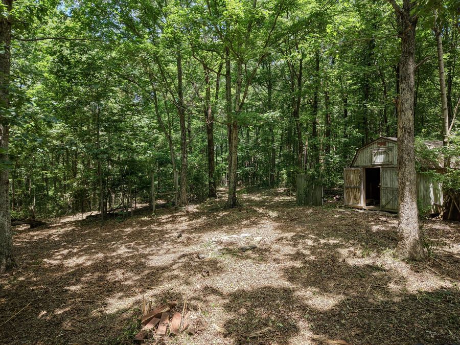 Property Image 41