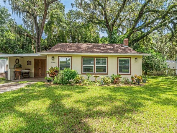 12369 SE 130TH COURT , OCKLAWAHA, FL 32179
