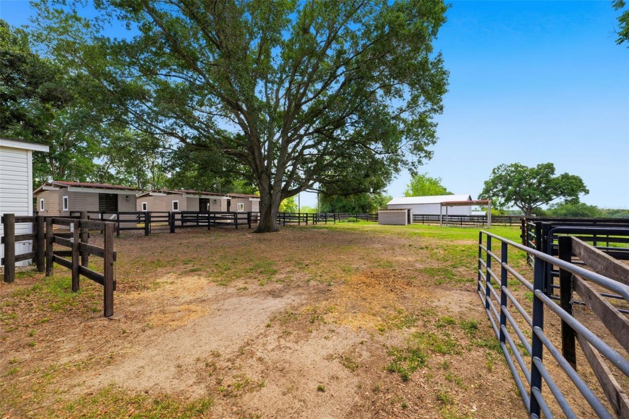 8606 Boyt Road , Zephyrhills, FL 33540 Photo