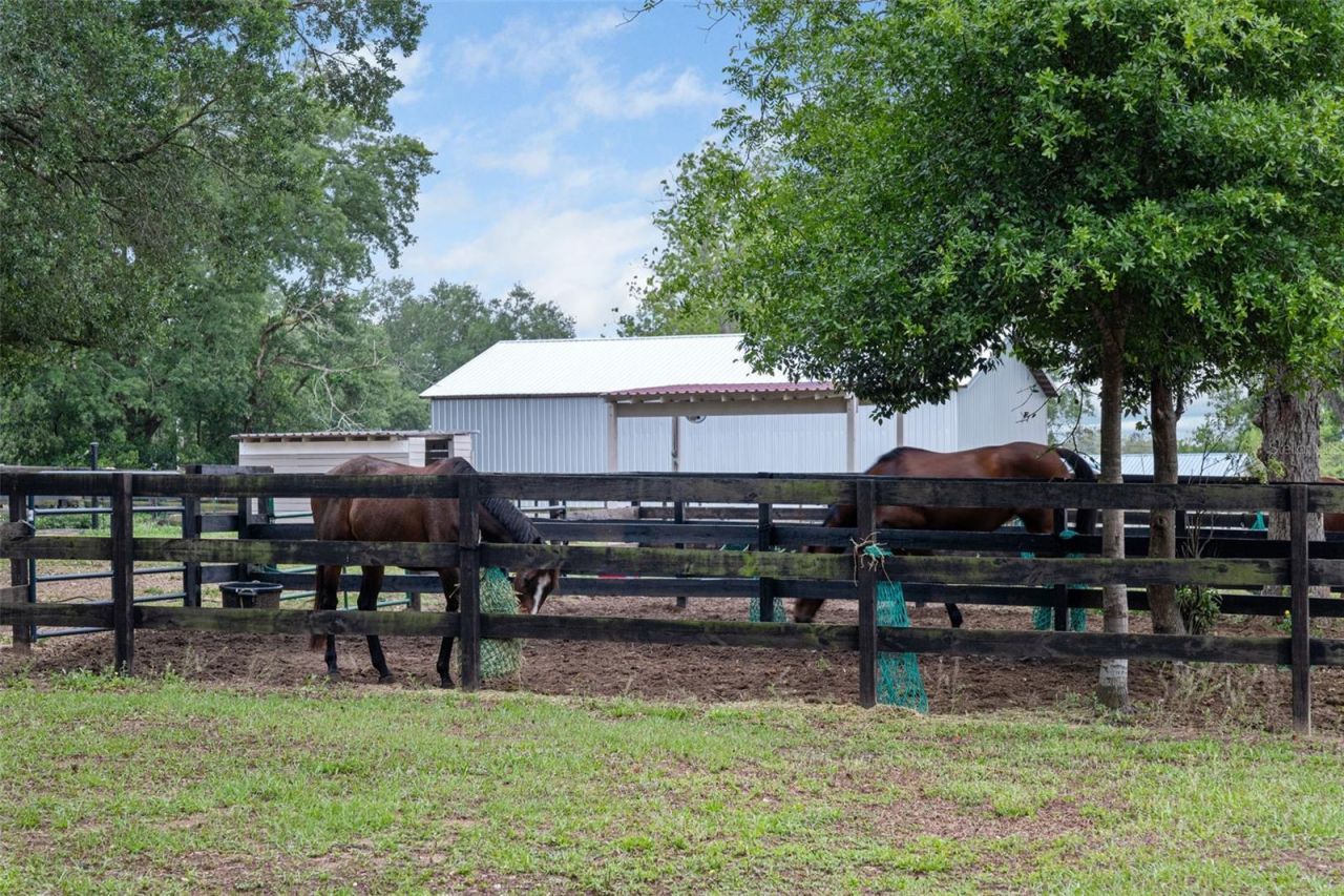 8606 Boyt Road , Zephyrhills, FL 33540 Photo