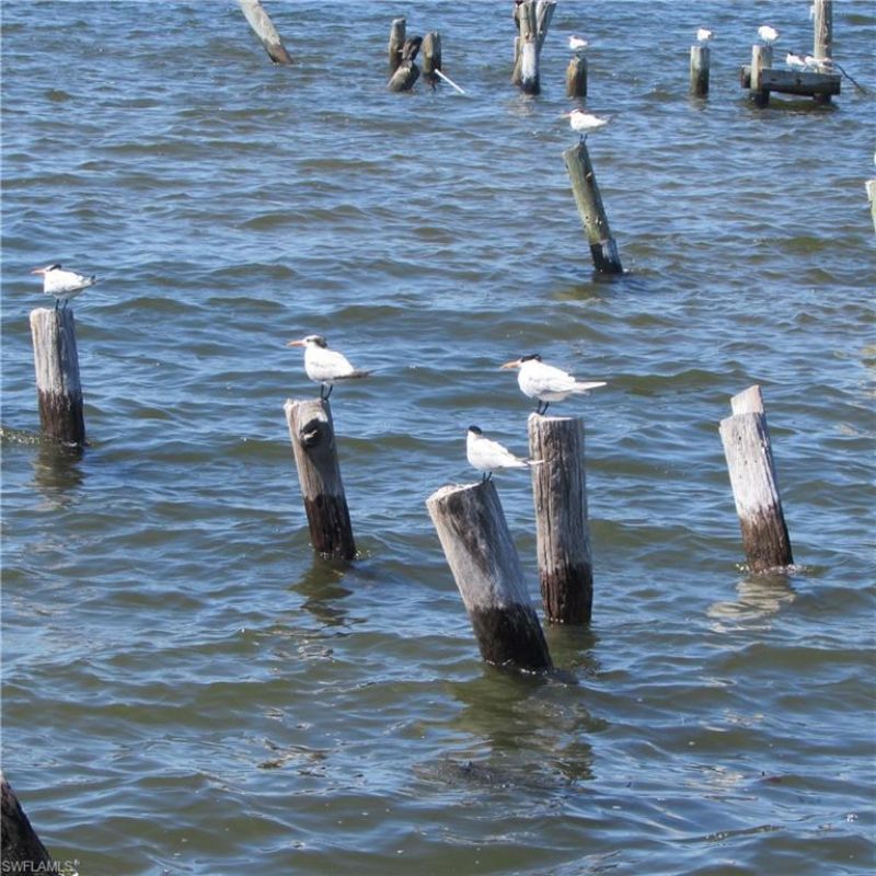 4262 Pine Island Rd Nw, Matlacha, FL 33993 Photo