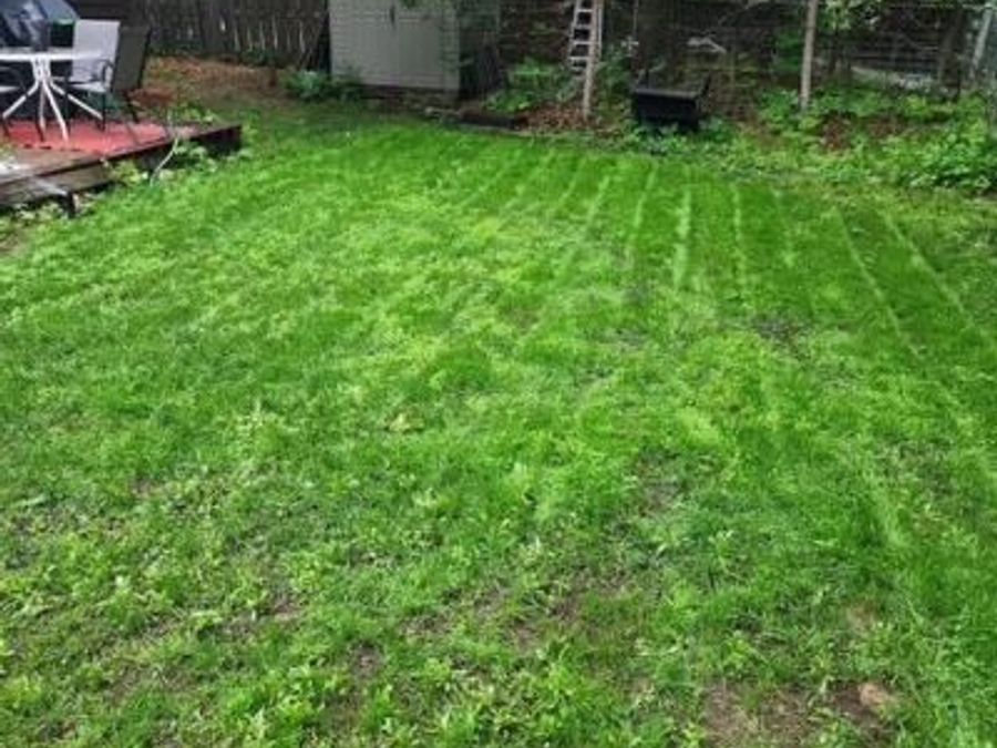 Property Image 63