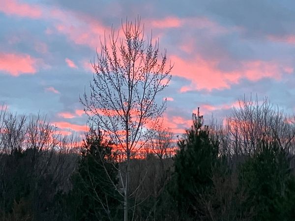 1804 Northbrook Place , Owatonna, MN 55060