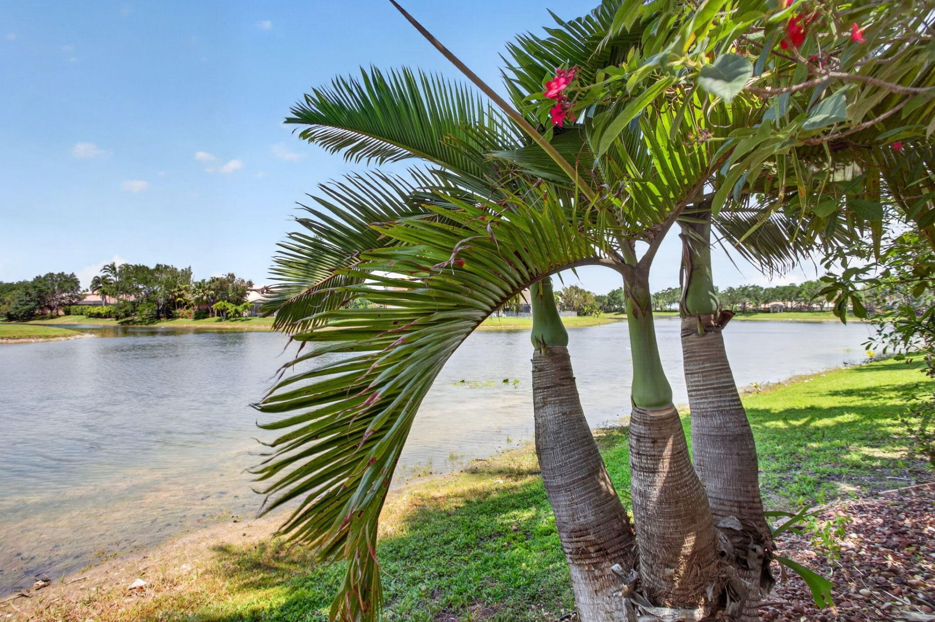6443 NW 110th Avenue, Parkland, FL 33076 Photo