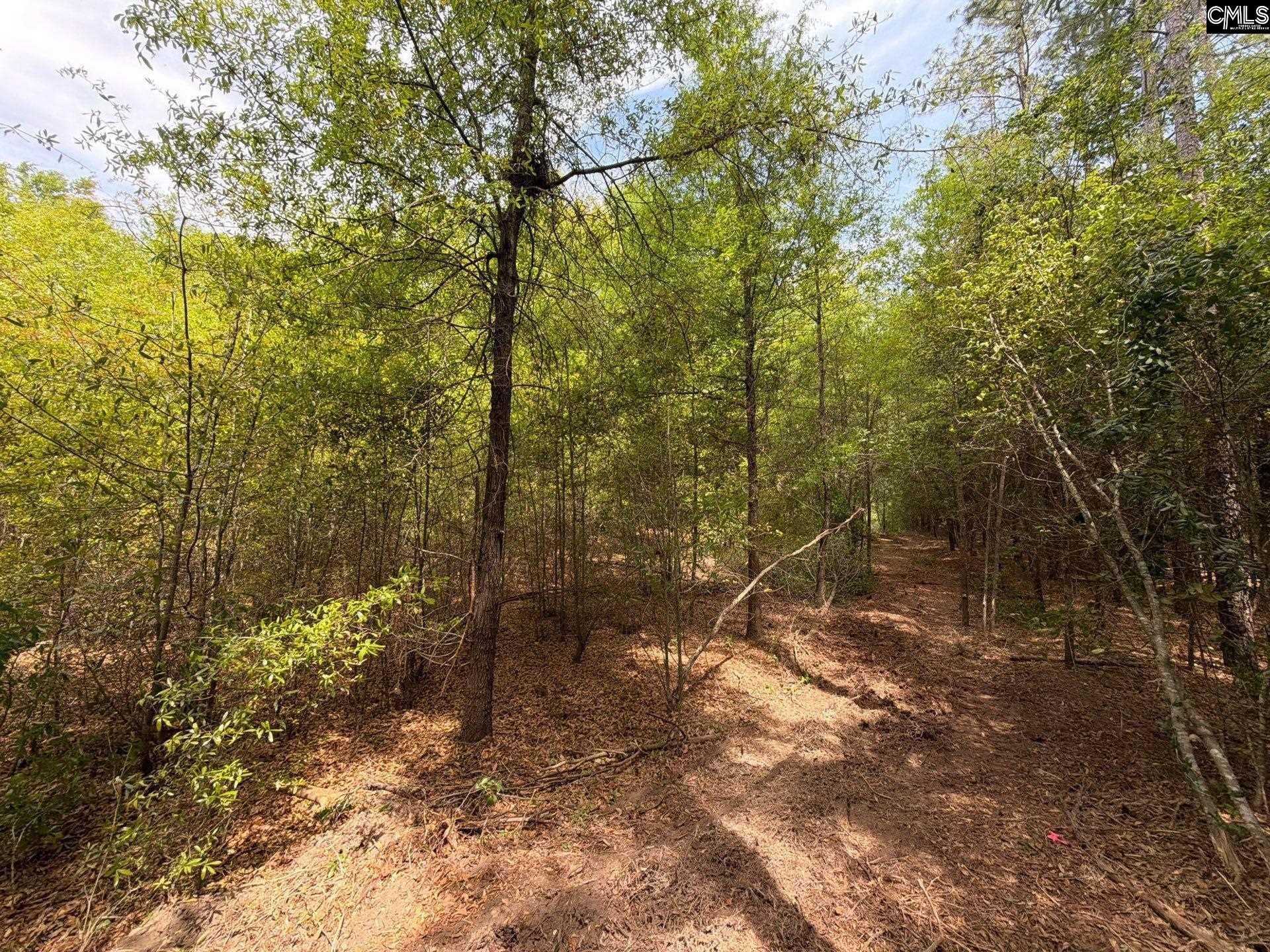 Rrf 4 Rogers Cemetery Road  Photo 15