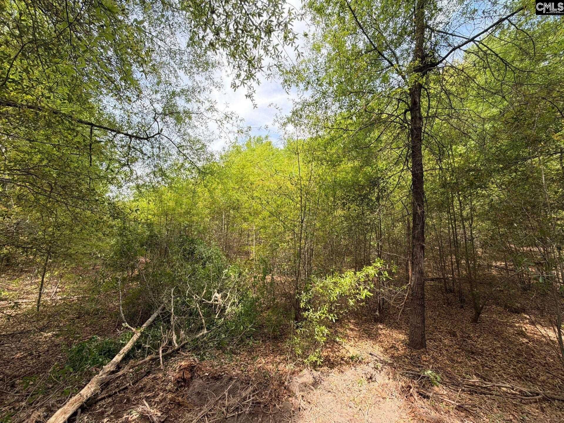 Rrf 4 Rogers Cemetery Road  Photo 16