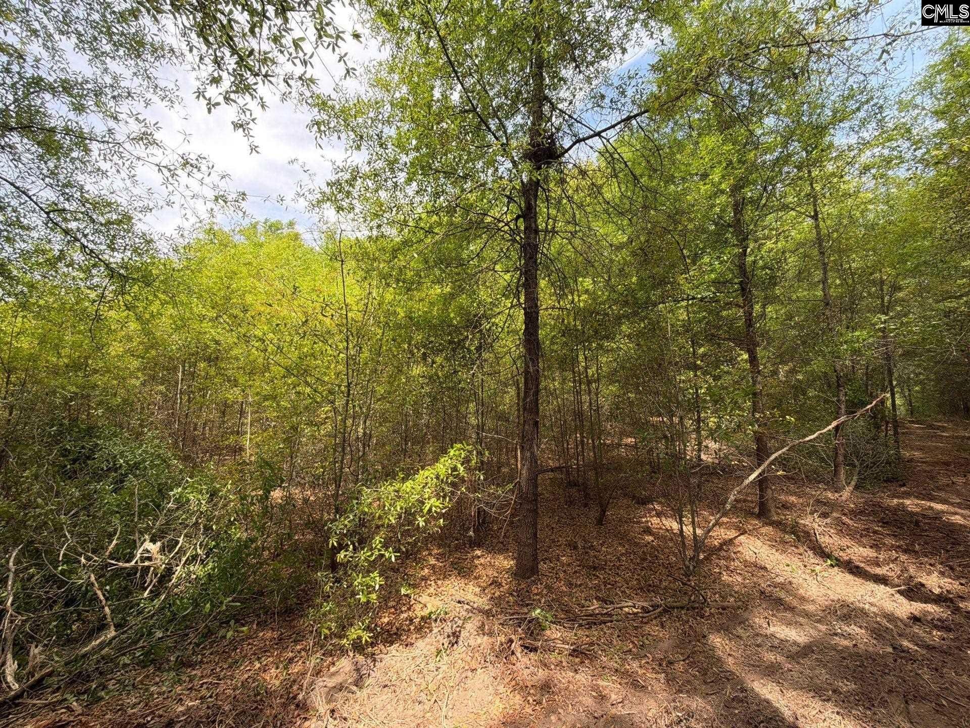 Rrf 4 Rogers Cemetery Road  Photo 17