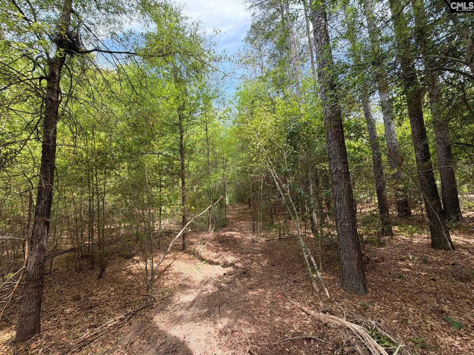 Rrf 4 Rogers Cemetery Road  Photo 18