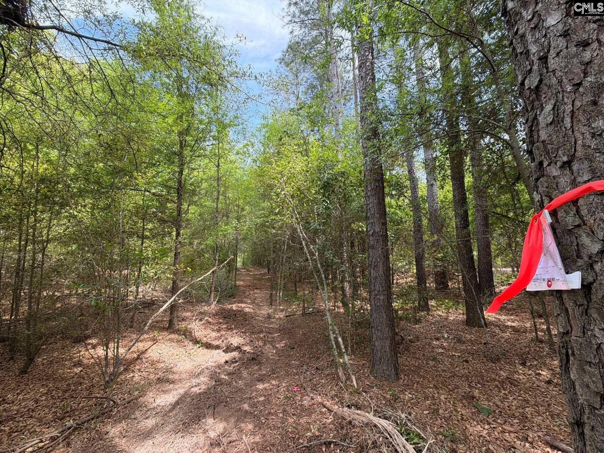 Rrf 4 Rogers Cemetery Road  Photo 19